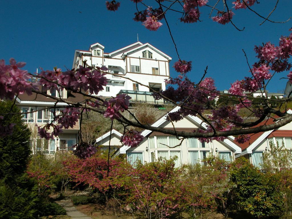 Dreamtown Apartment Renai Bagian luar foto